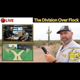 The Division Over Flock